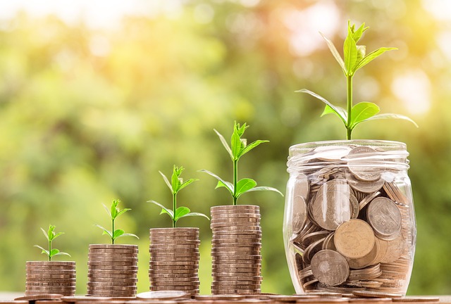 money sprouting