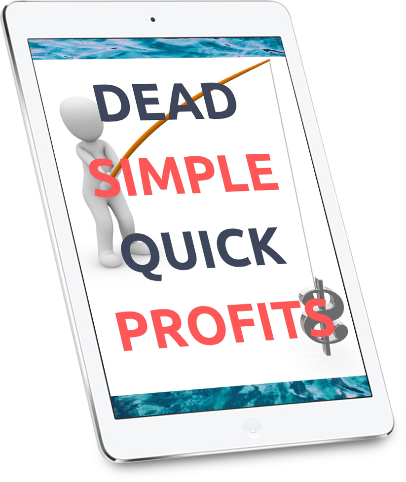 Dead Simple Quick Profits ecover