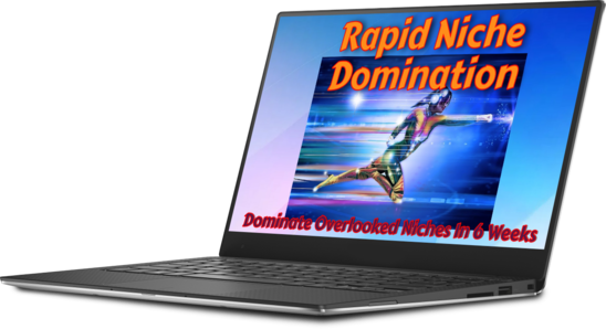 Rapid Niche Domination ecover 3D